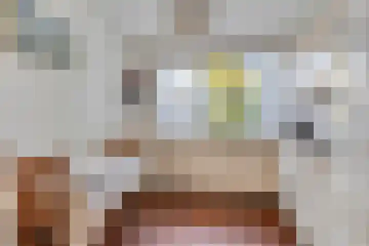 de Schout 1 Oirschot thumbnail 13