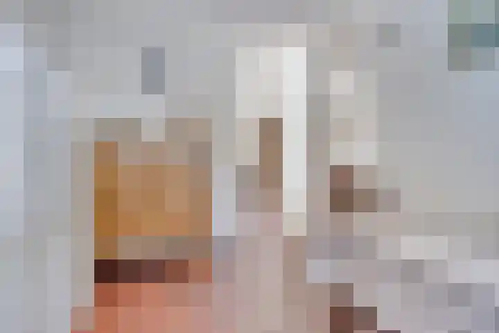 de Schout 1 Oirschot thumbnail 14