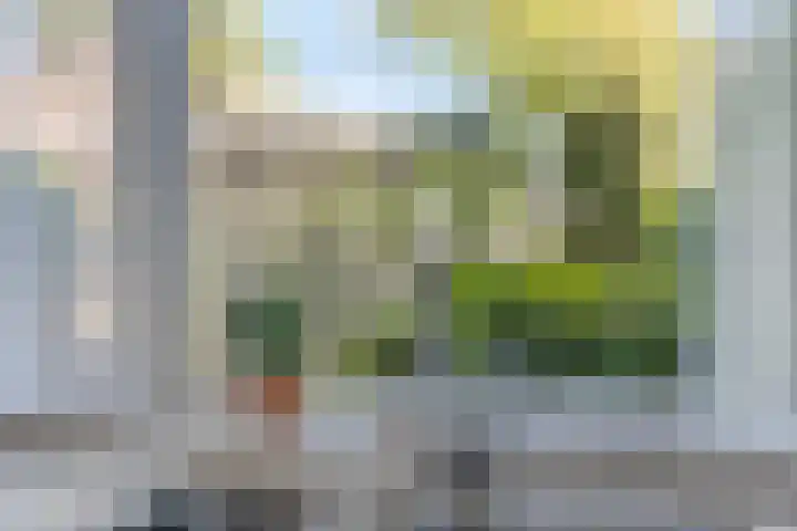 de Schout 1 Oirschot thumbnail 15