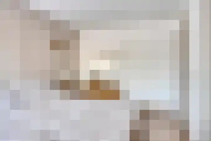 de Schout 1 Oirschot thumbnail 17