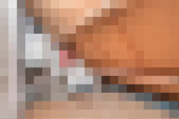 de Schout 1 Oirschot thumbnail 25