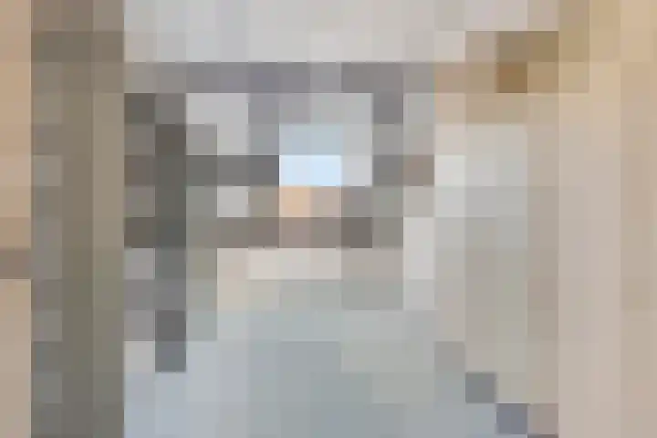 de Schout 1 Oirschot thumbnail 27