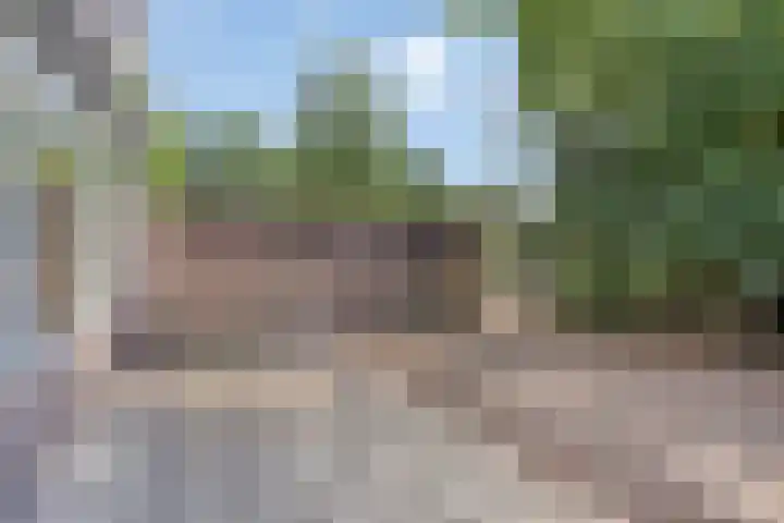 de Schout 1 Oirschot thumbnail 29
