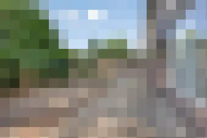 de Schout 1 Oirschot thumbnail 30