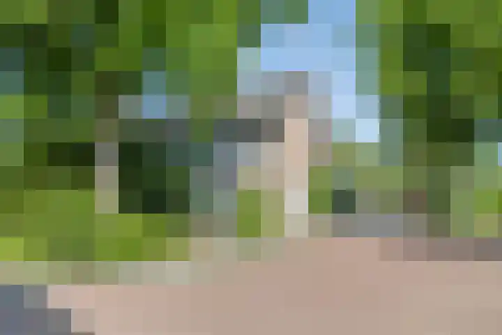de Schout 1 Oirschot thumbnail 31