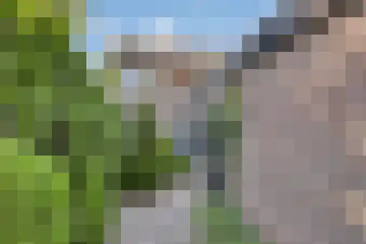 de Schout 1 Oirschot thumbnail 34
