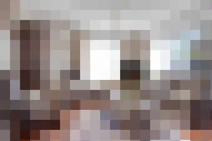 de Schout 1 Oirschot thumbnail 8