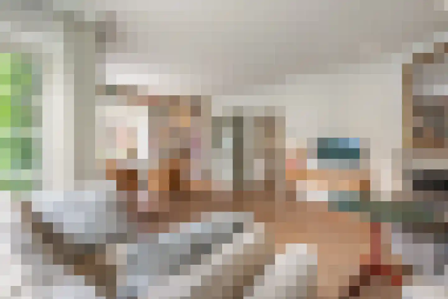 De Schout 3 Laren thumbnail 14