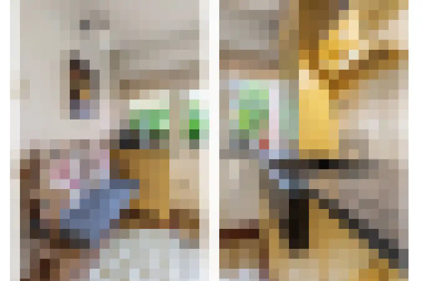 De Schout 3 Laren thumbnail 20