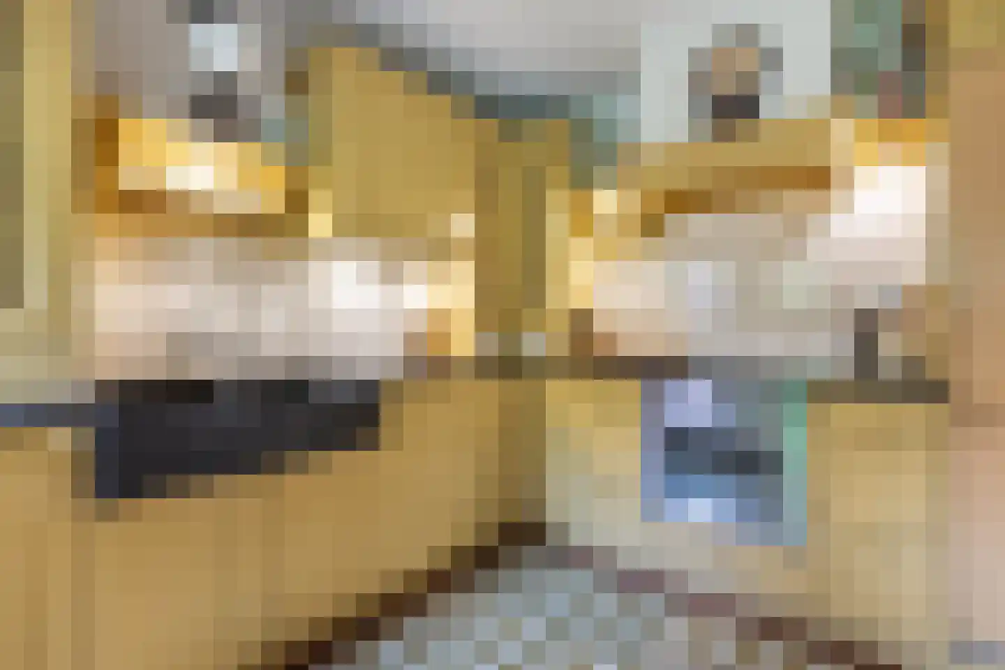 De Schout 3 Laren thumbnail 22