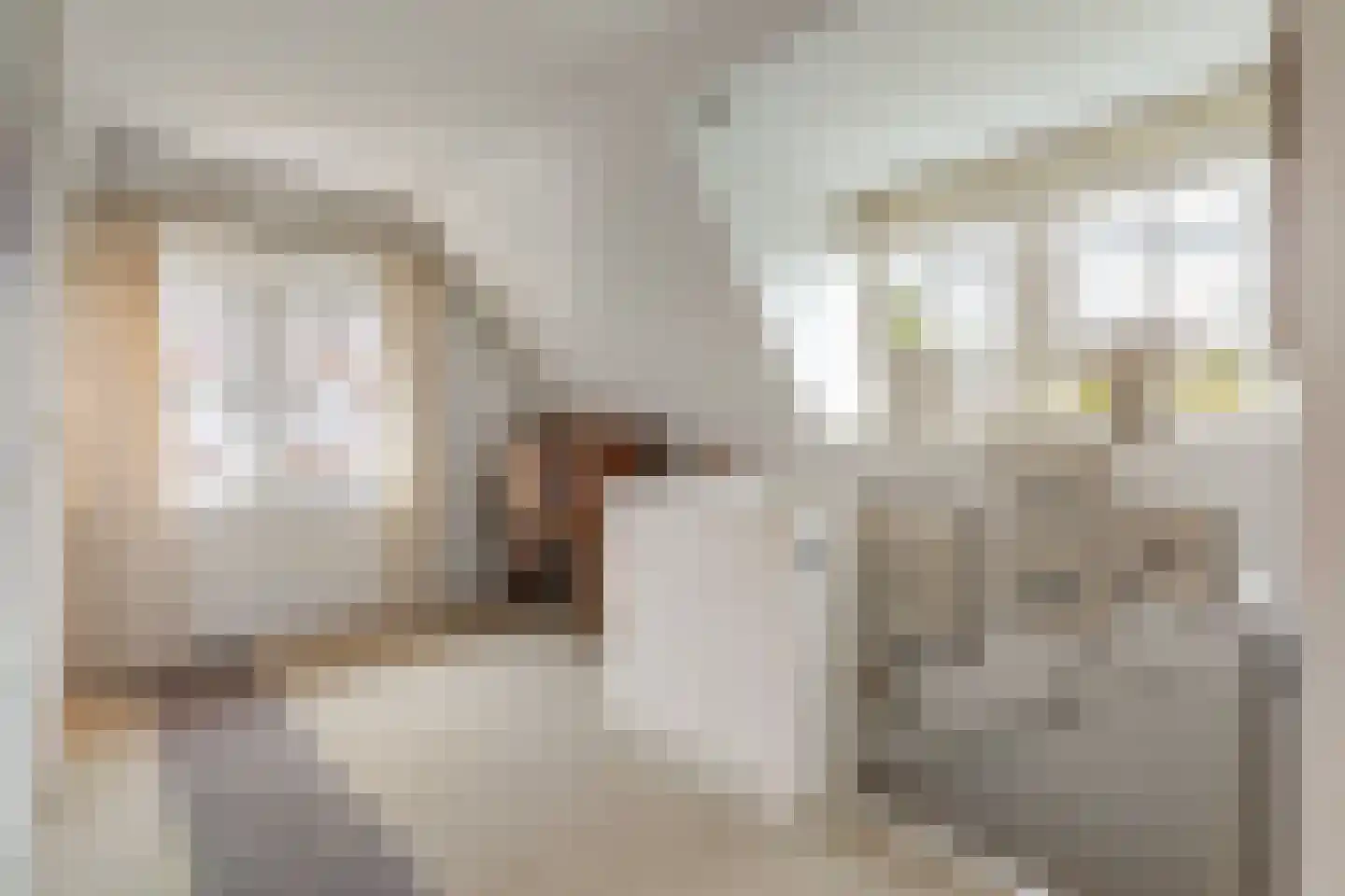 De Schout 3 Laren thumbnail 25
