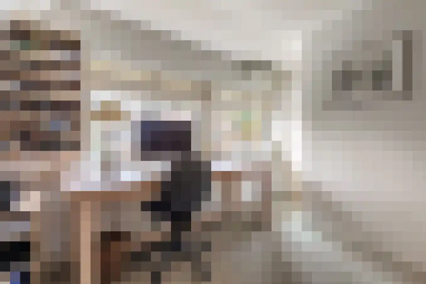 De Schout 3 Laren thumbnail 27