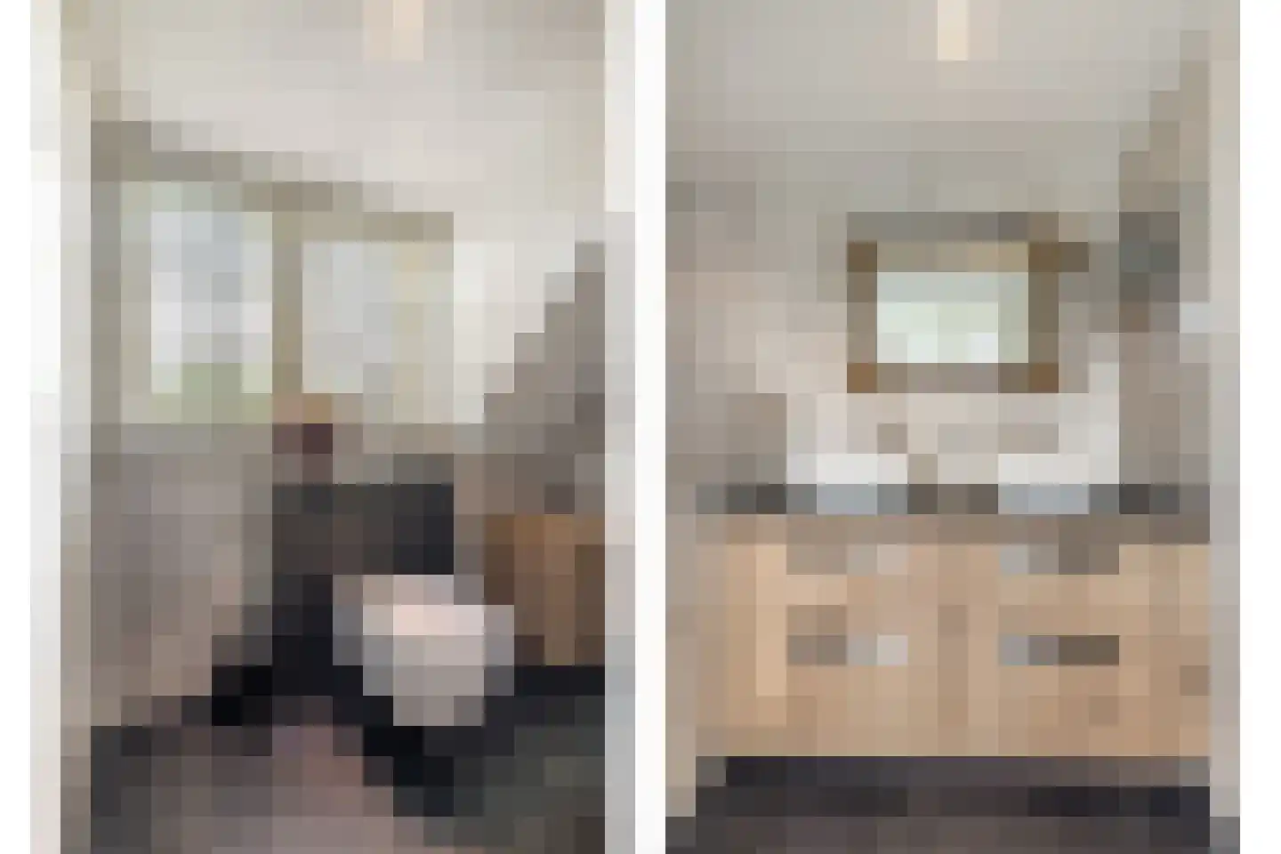 De Schout 3 Laren thumbnail 30
