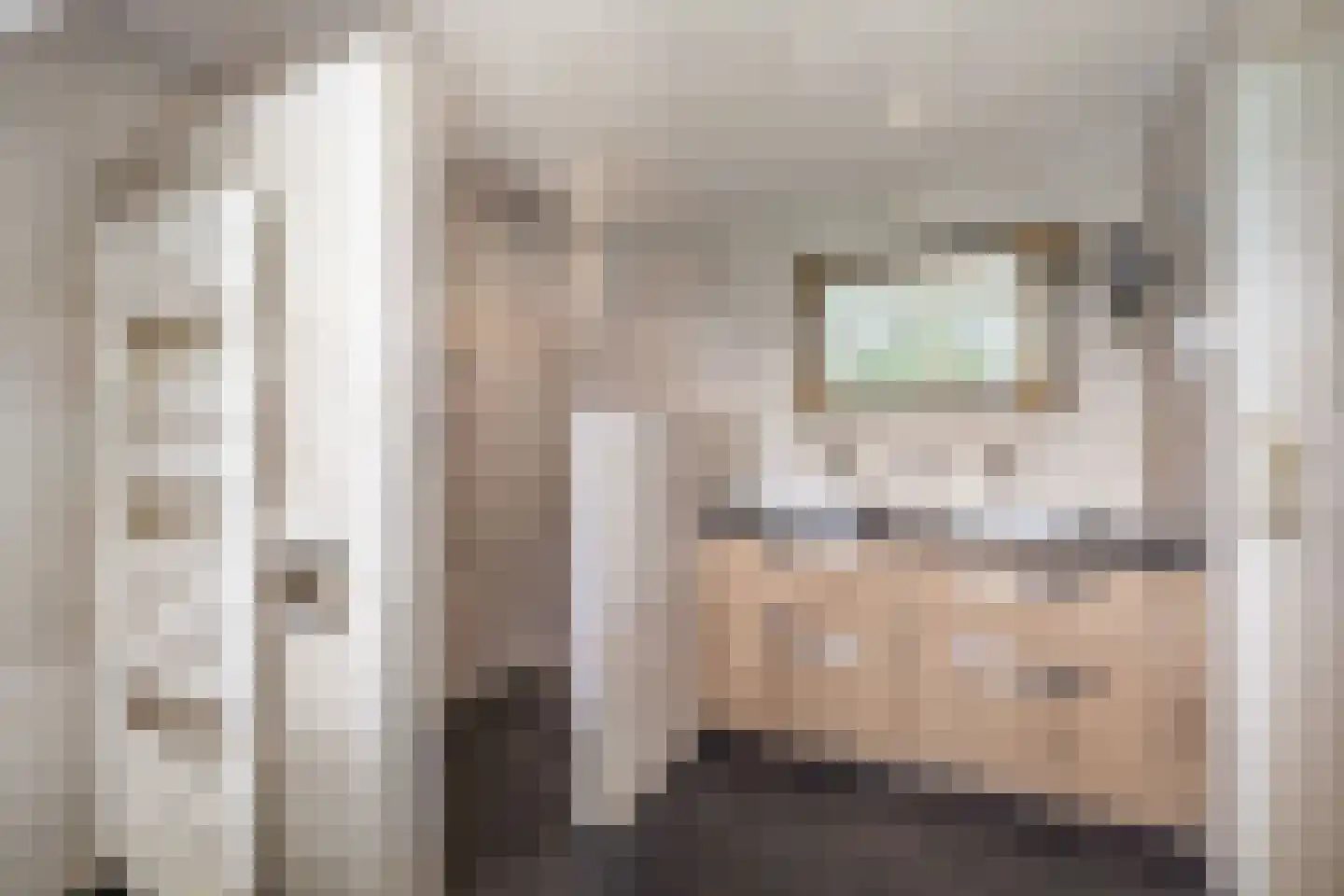 De Schout 3 Laren thumbnail 31