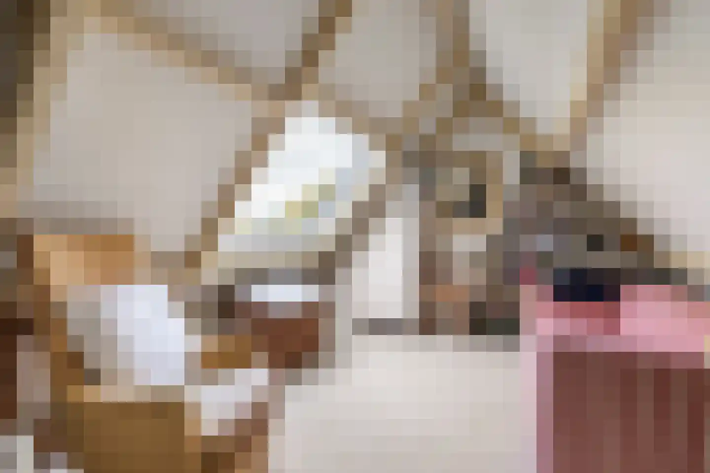 De Schout 3 Laren thumbnail 32
