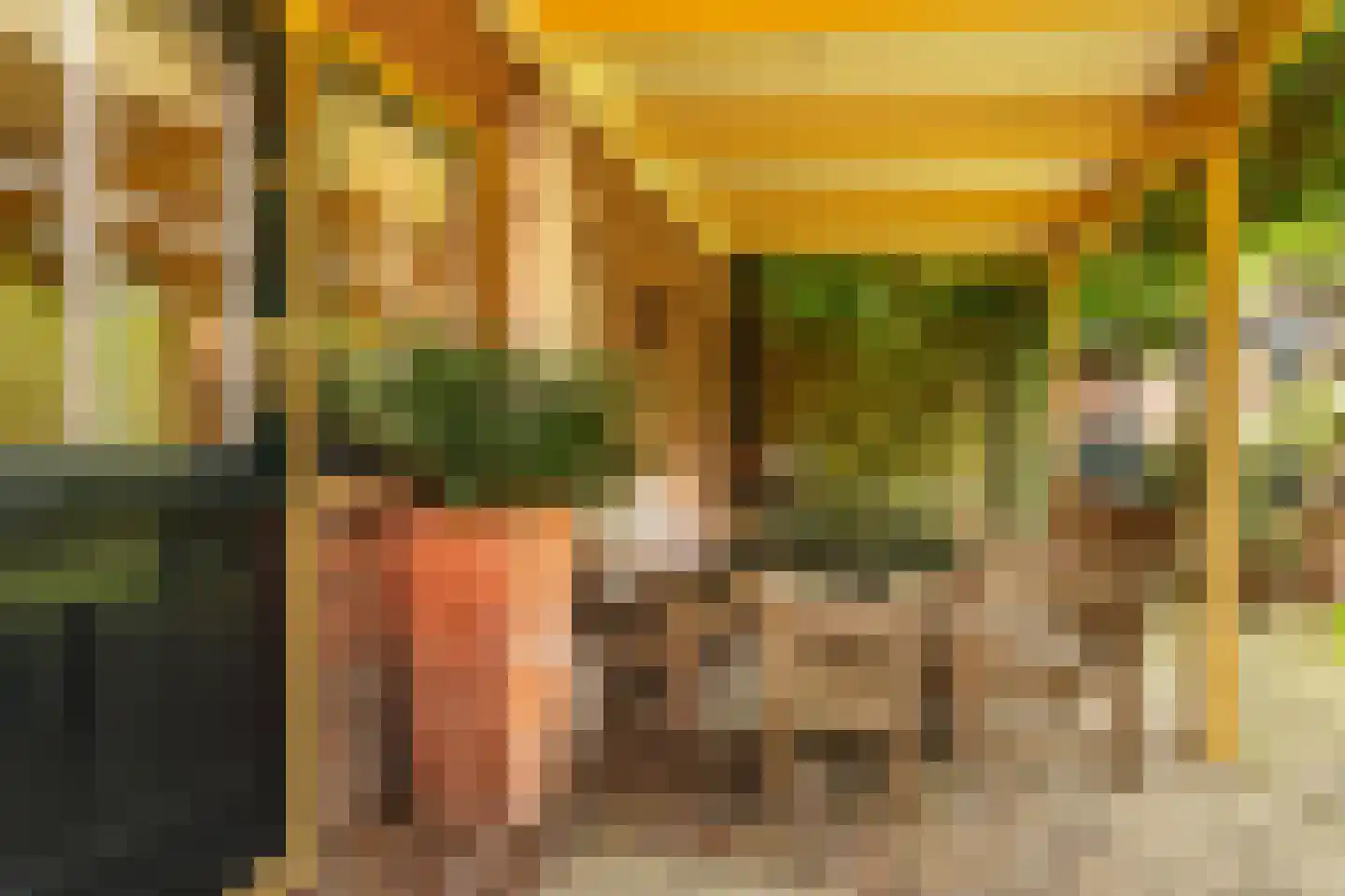 De Schout 3 Laren thumbnail 34