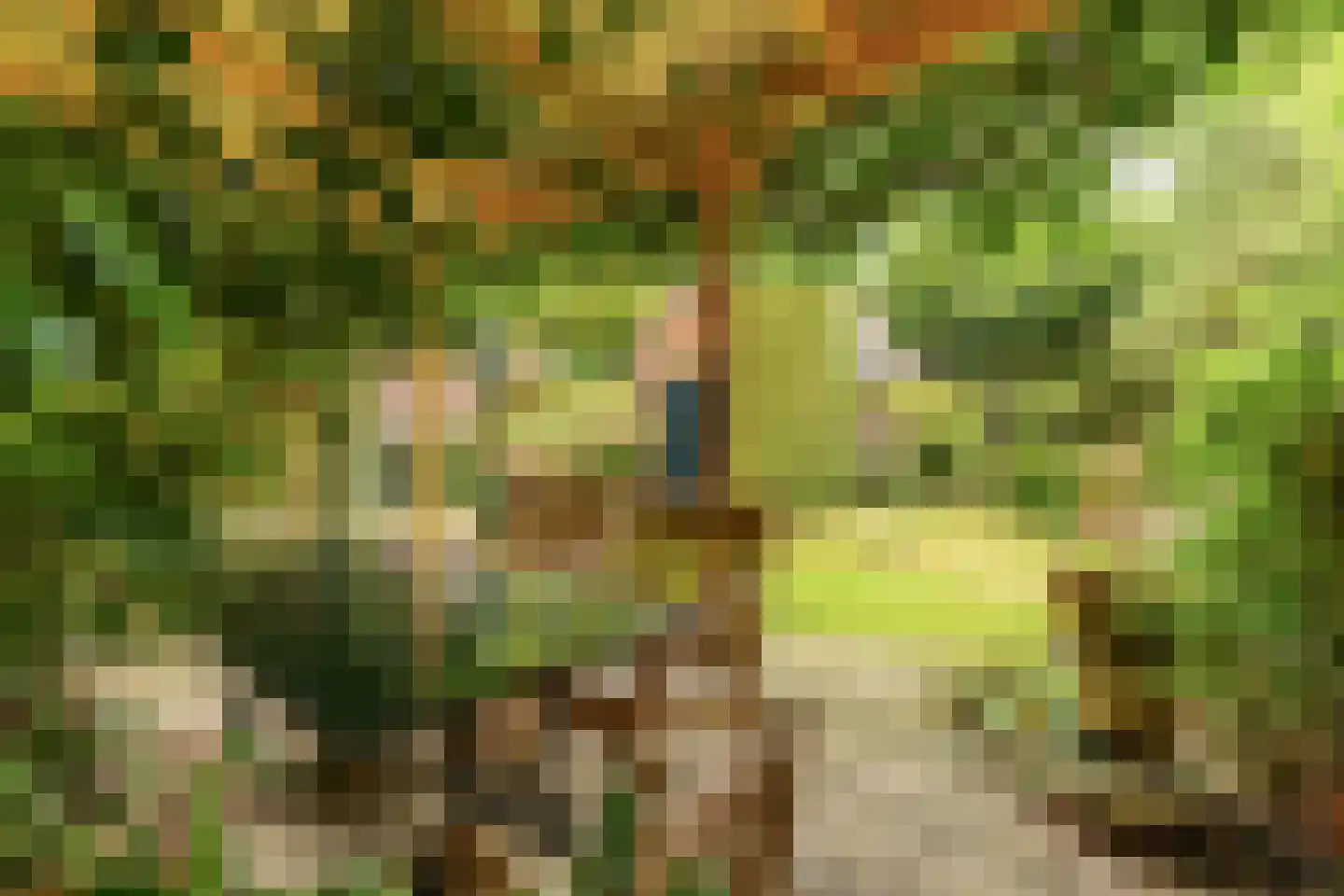 De Schout 3 Laren thumbnail 35