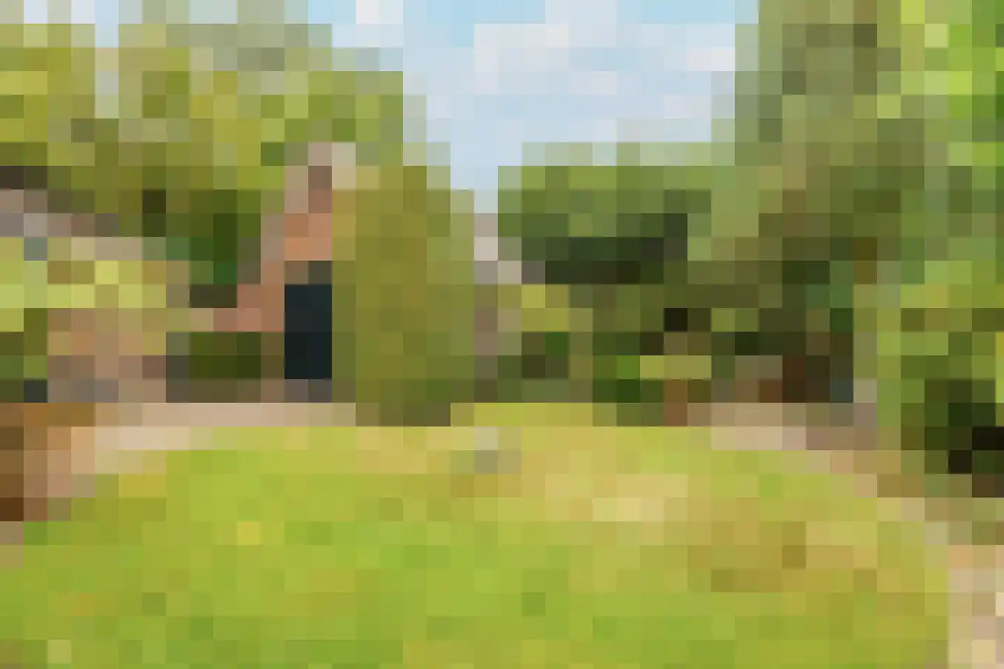 De Schout 3 Laren thumbnail 37