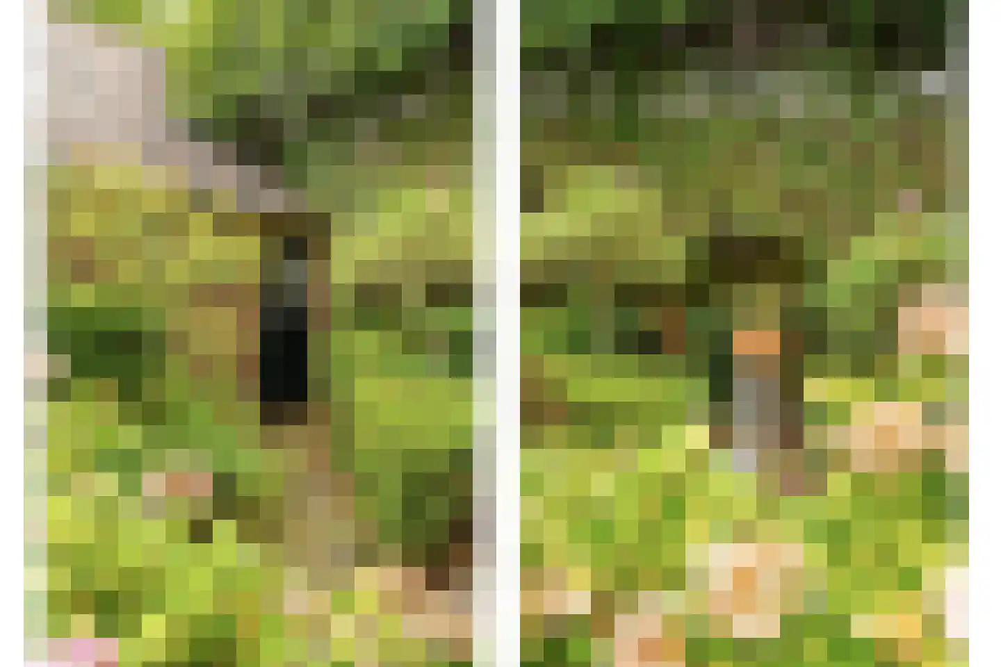 De Schout 3 Laren thumbnail 38