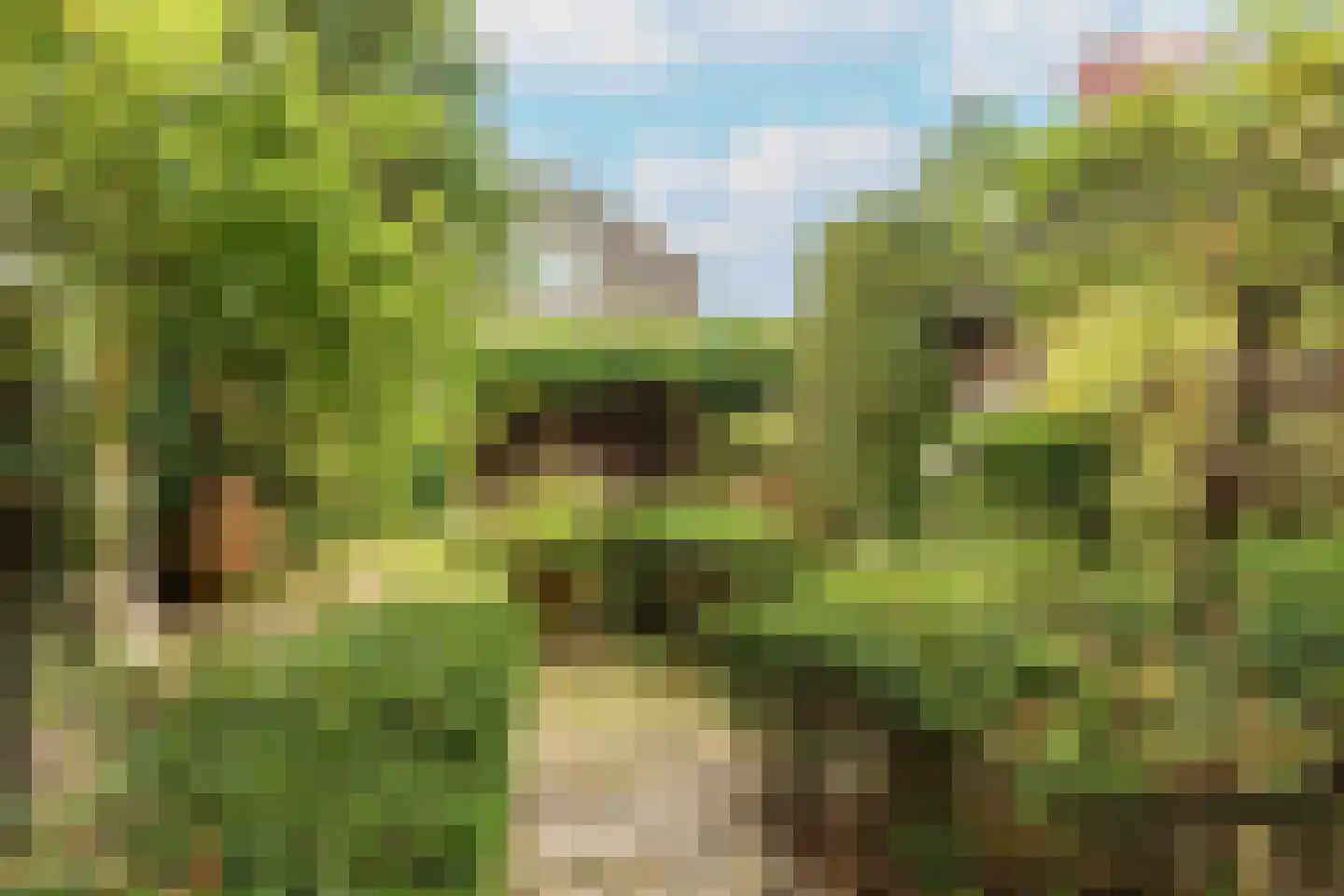De Schout 3 Laren thumbnail 39