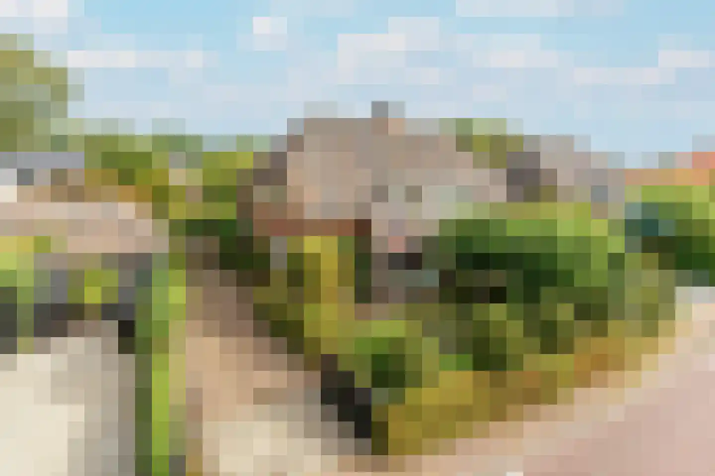 De Schout 3 Laren thumbnail 4