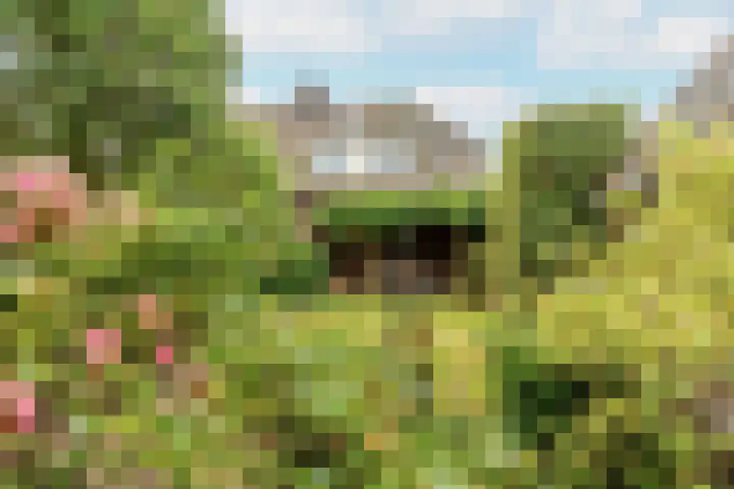 De Schout 3 Laren thumbnail 40