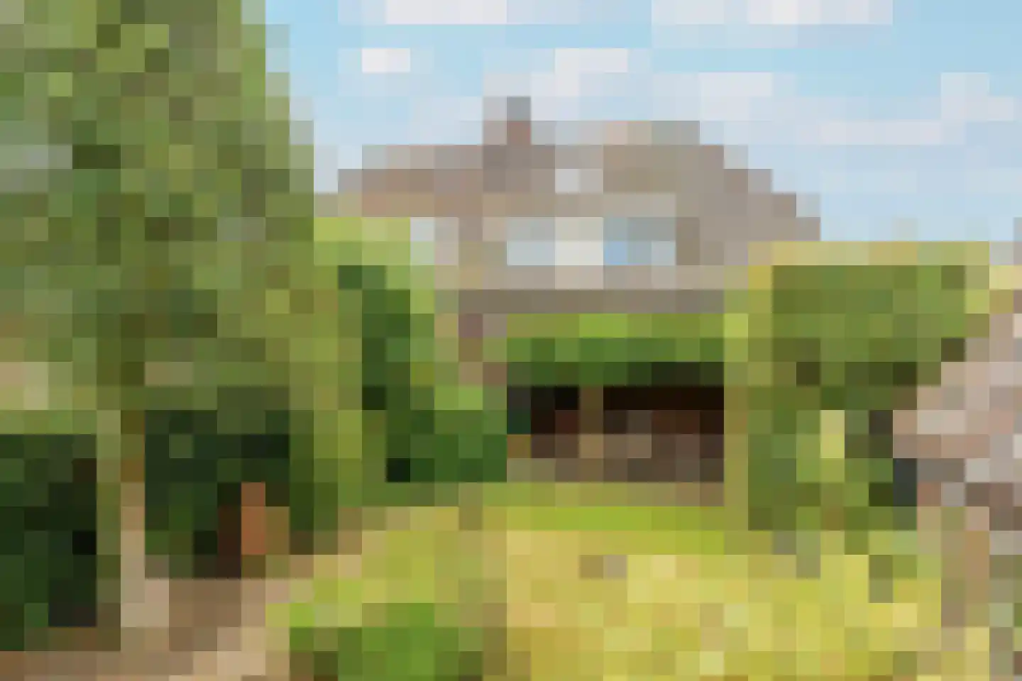 De Schout 3 Laren thumbnail 41