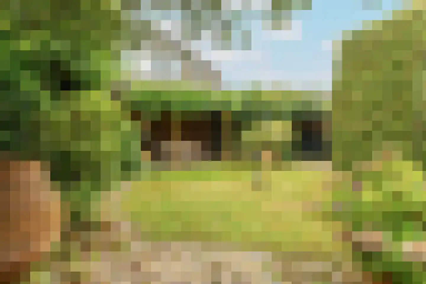De Schout 3 Laren thumbnail 42