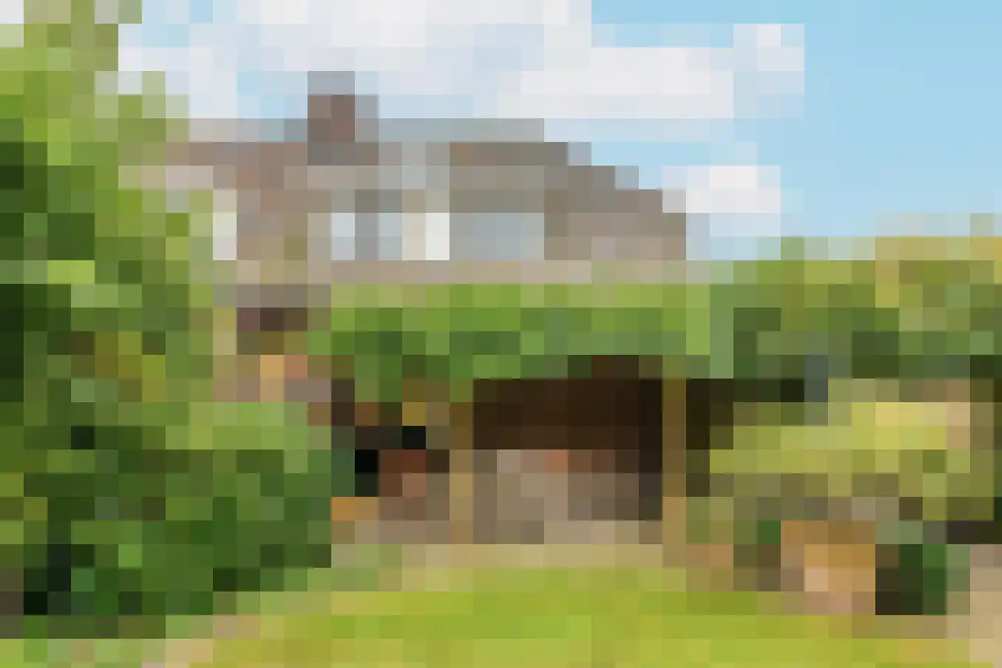 De Schout 3 Laren thumbnail 43