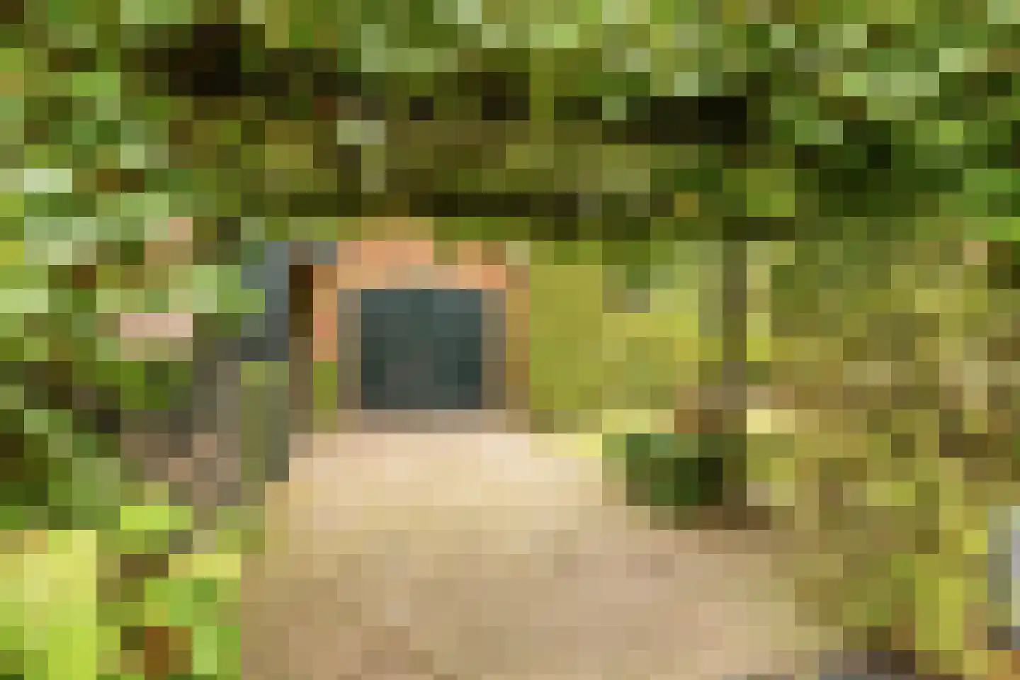 De Schout 3 Laren thumbnail 45