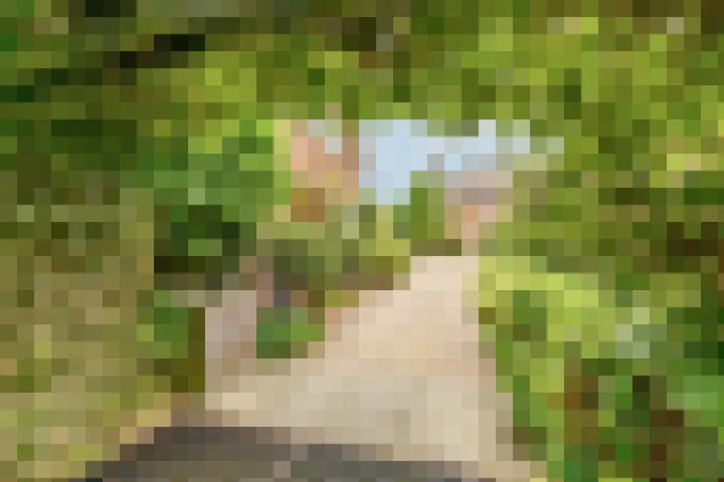 De Schout 3 Laren thumbnail 46