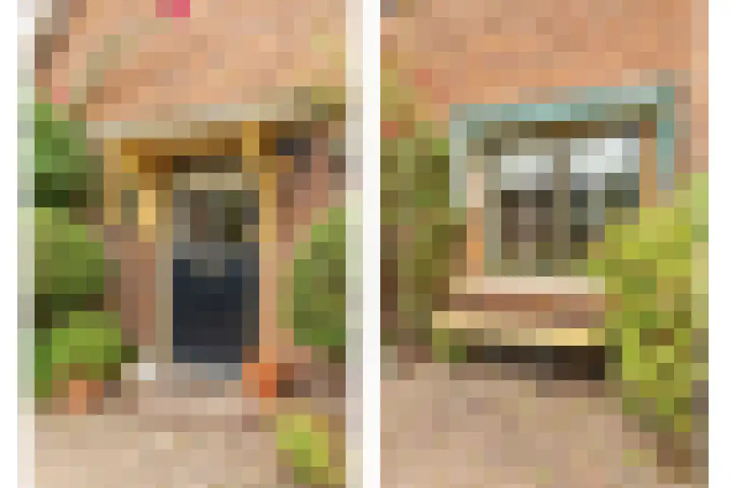 De Schout 3 Laren thumbnail 47