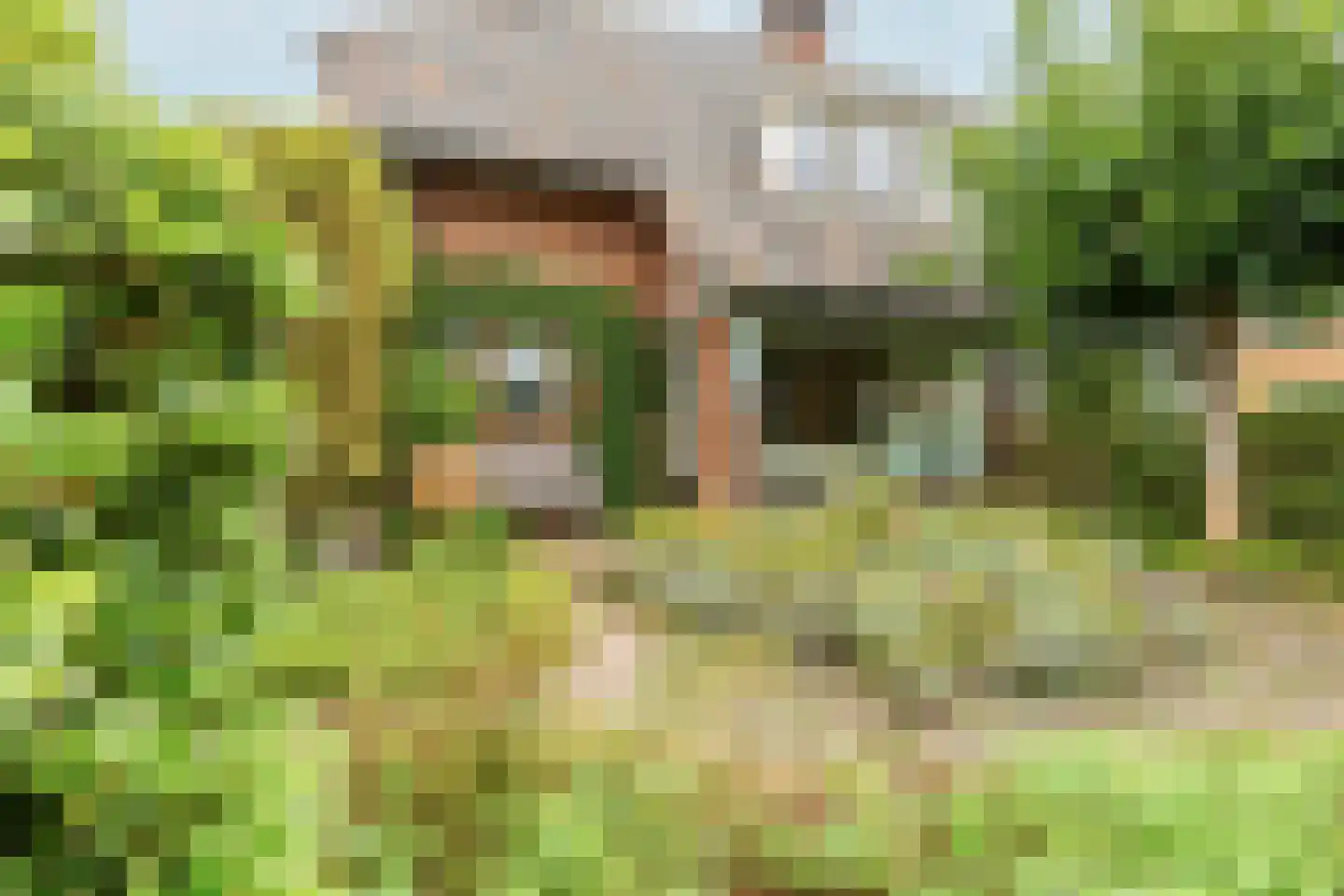 De Schout 3 Laren thumbnail 51
