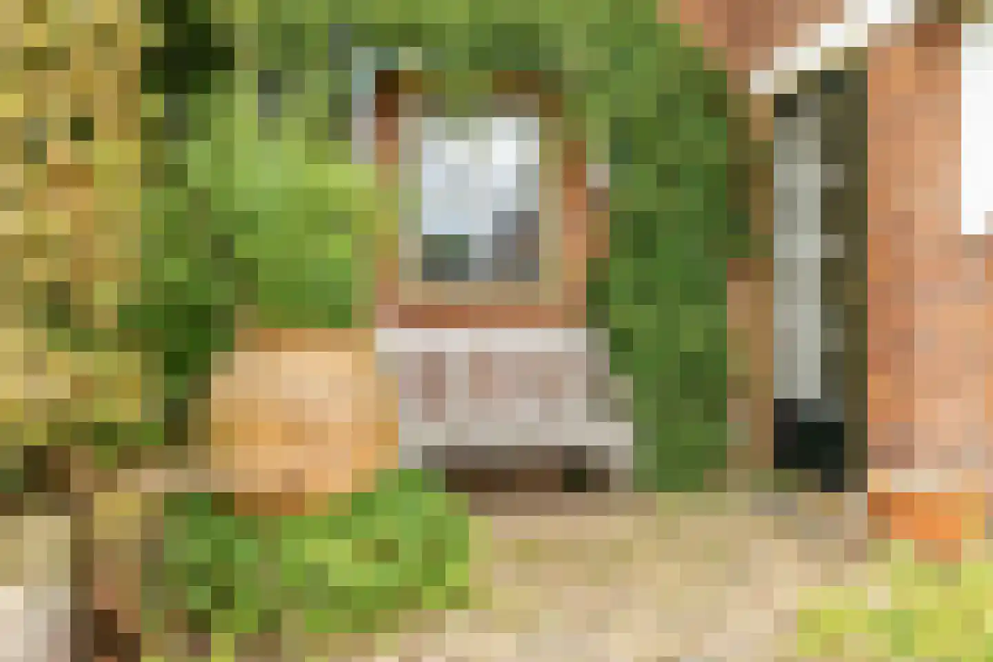 De Schout 3 Laren thumbnail 53