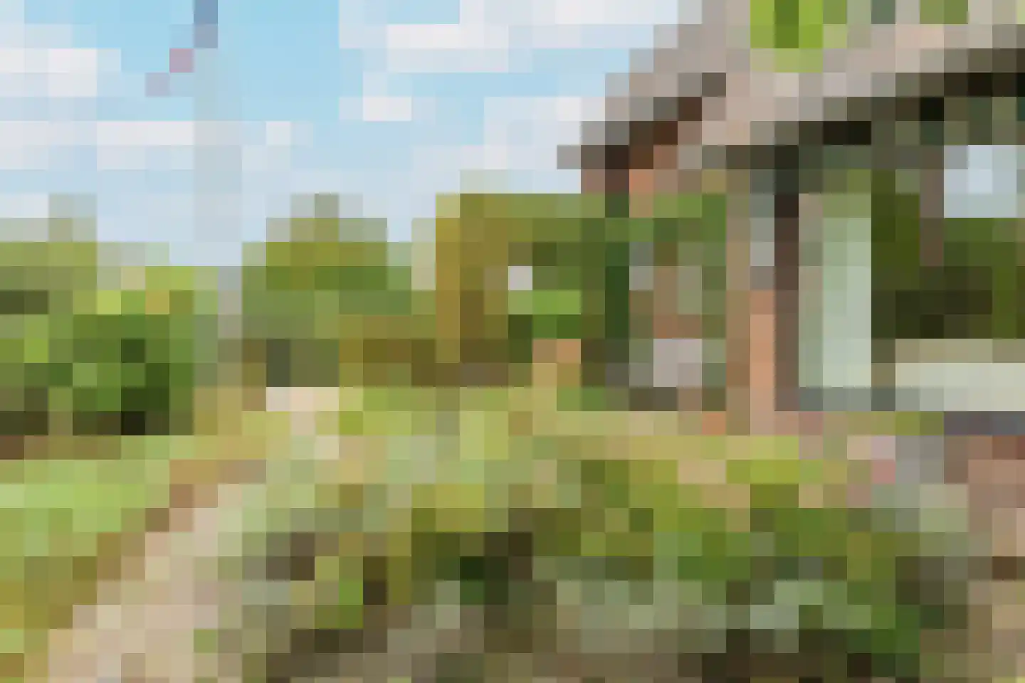 De Schout 3 Laren thumbnail 54