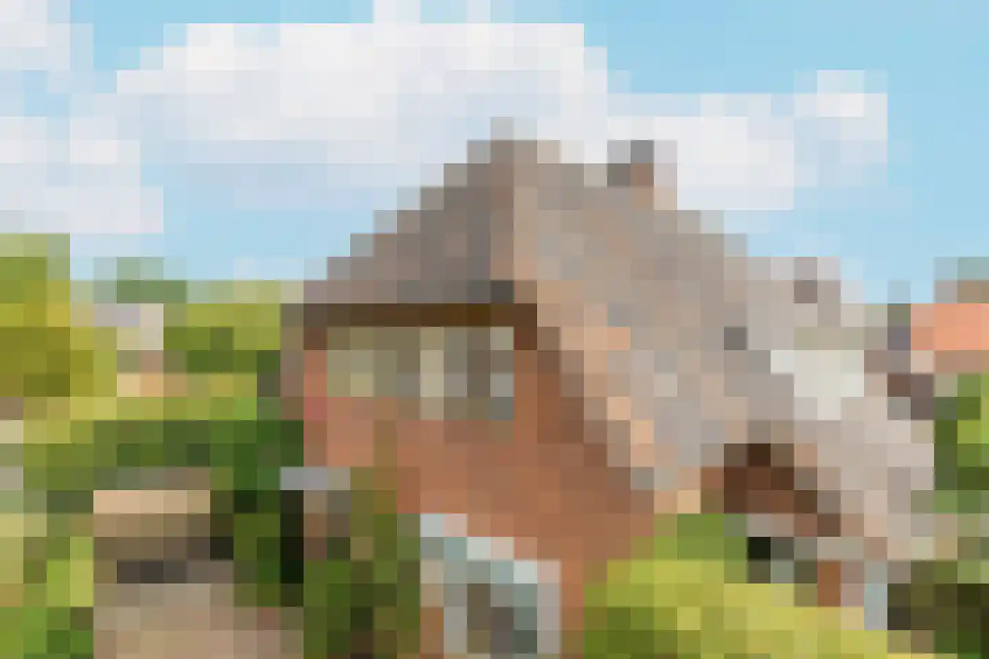 De Schout 3 Laren thumbnail 55