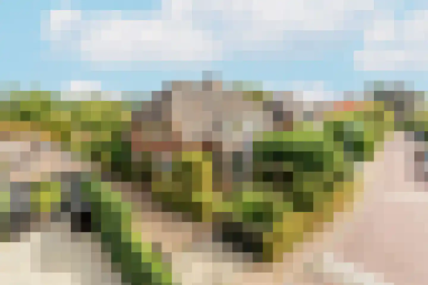 De Schout 3 Laren thumbnail 56