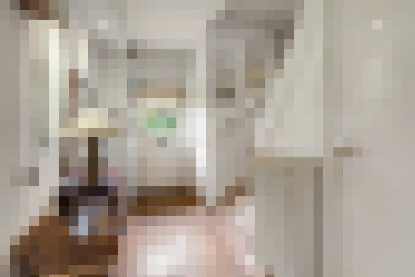 De Schout 3 Laren thumbnail 6