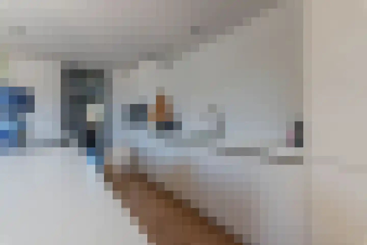 De Schout 8 Laren thumbnail 12