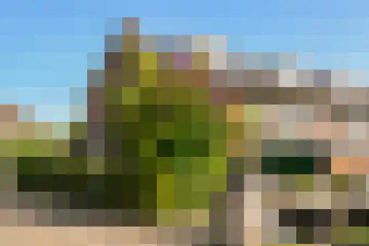 De Schout 8 Laren thumbnail 18
