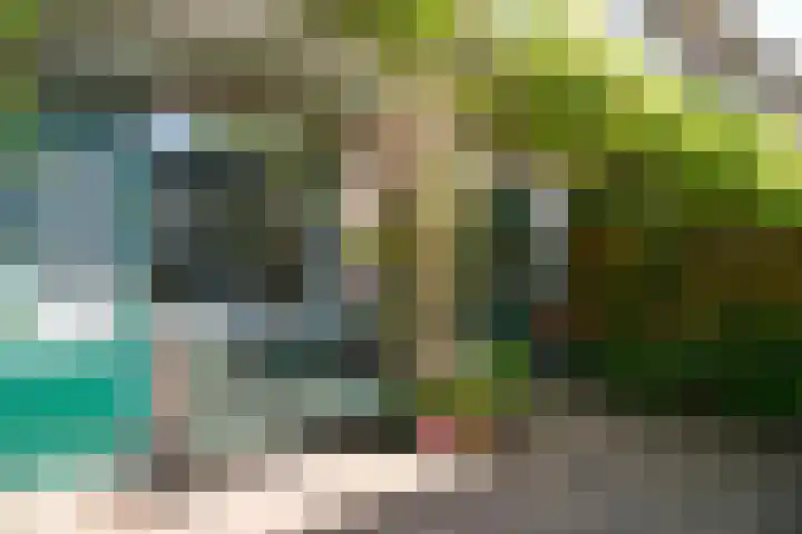De Schout 8 Laren thumbnail 19