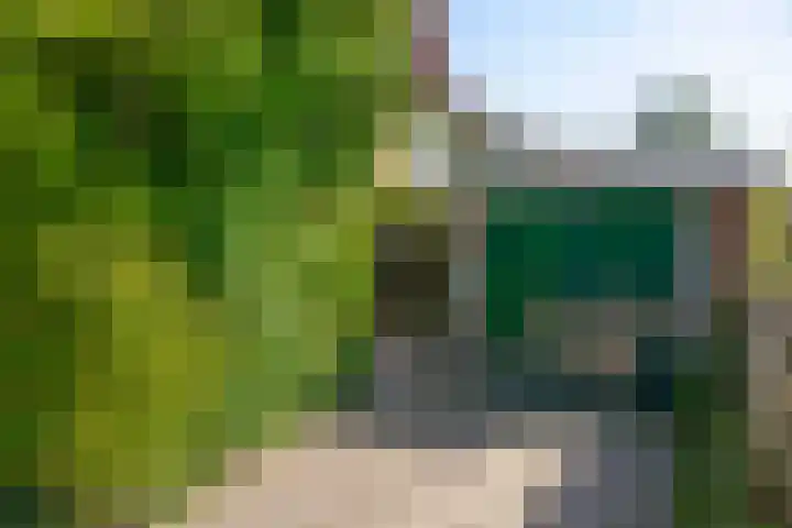 De Schout 8 Laren thumbnail 20