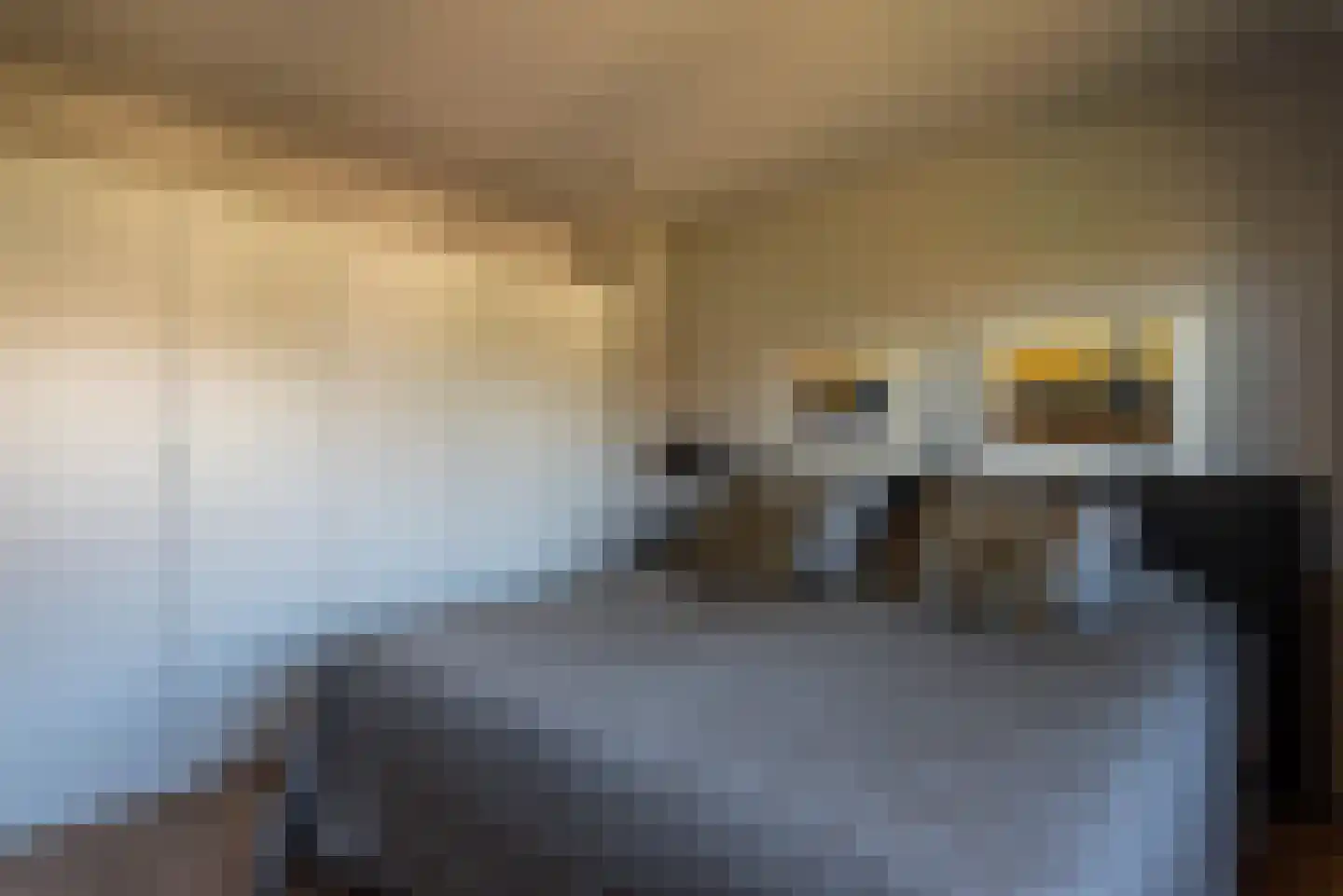 De Schout 8 Laren thumbnail 20