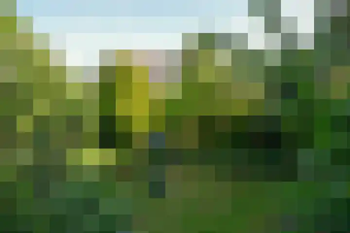 De Schout 8 Laren thumbnail 21