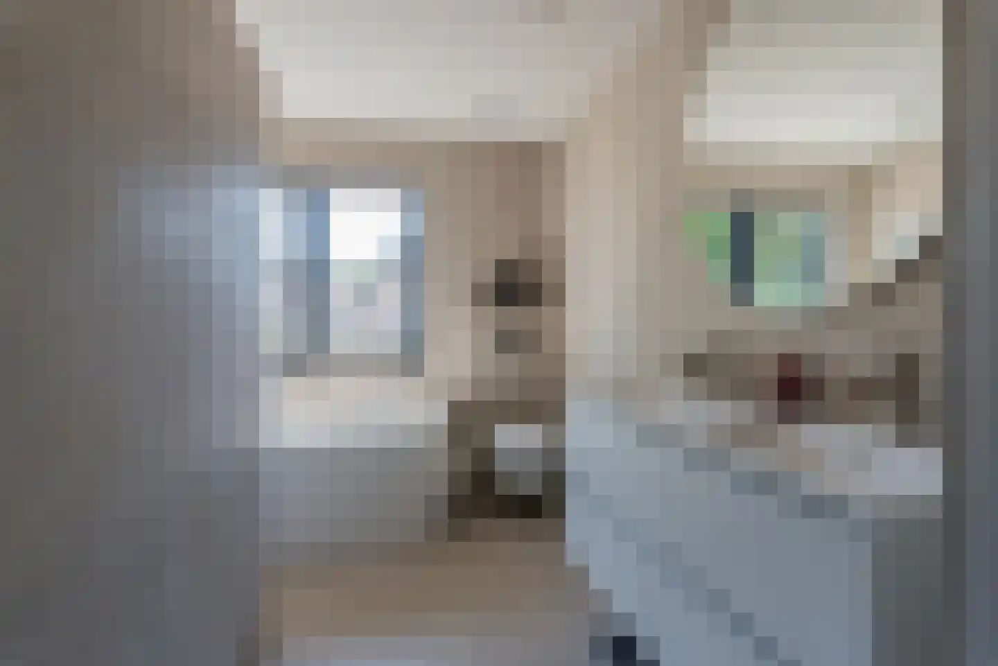 De Schout 8 Laren thumbnail 23
