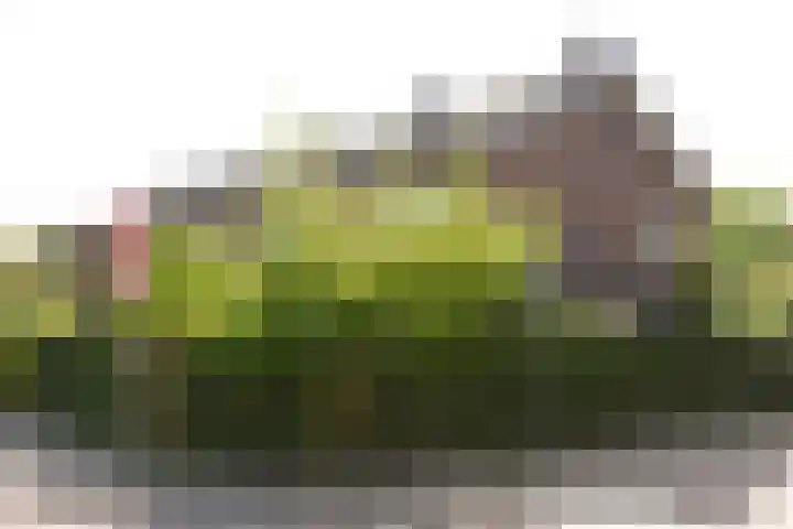 De Schout 8 Laren thumbnail 31