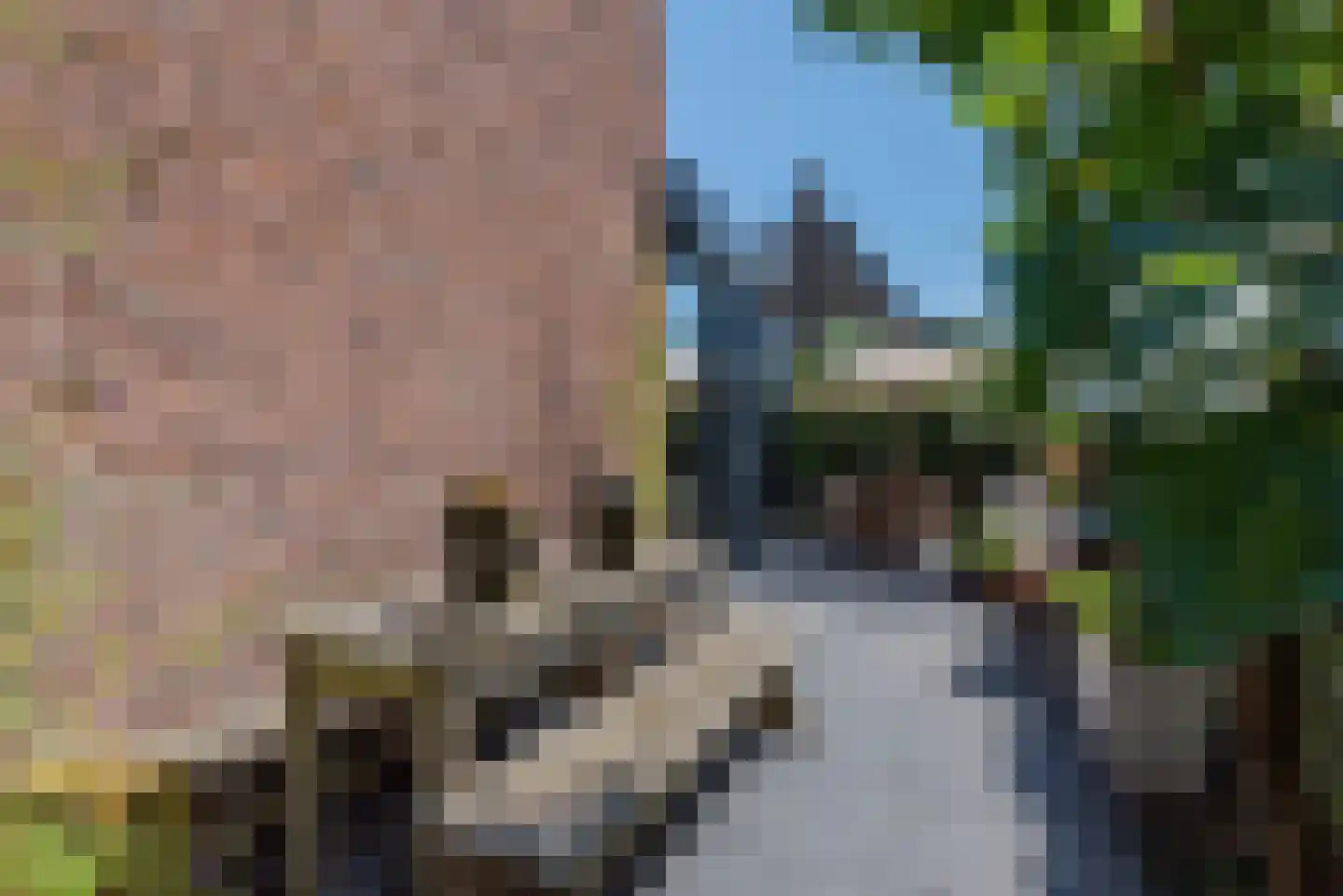De Schout 8 Laren thumbnail 35