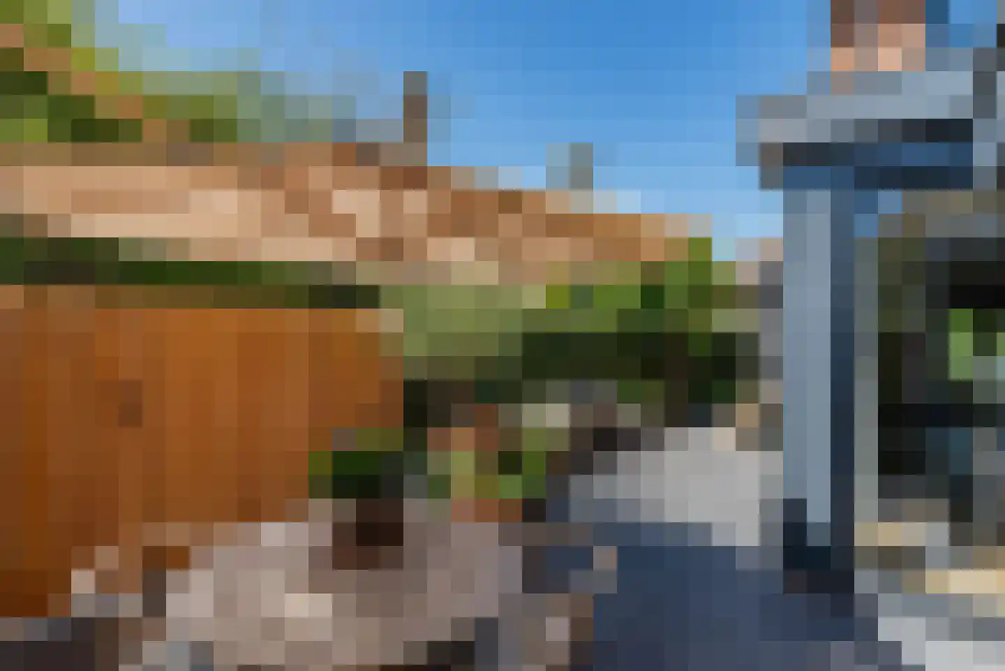De Schout 8 Laren thumbnail 38