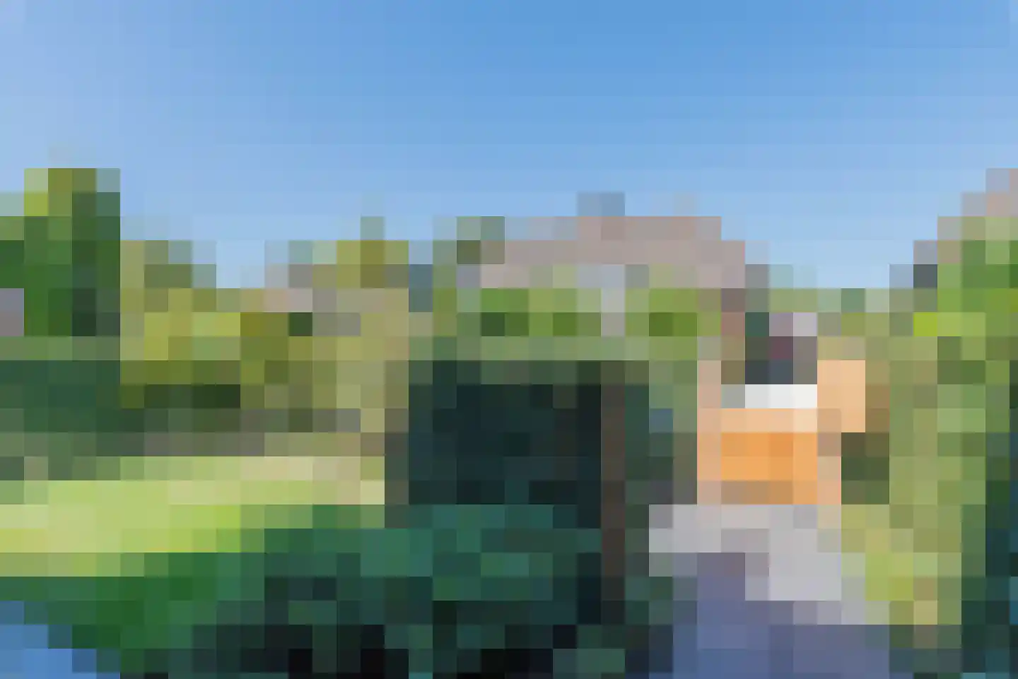 De Schout 8 Laren thumbnail 5