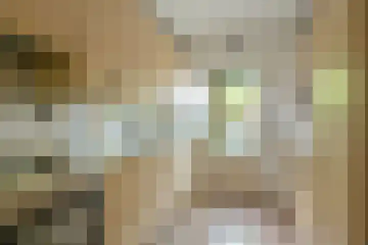 De Schout 8 Laren thumbnail 9